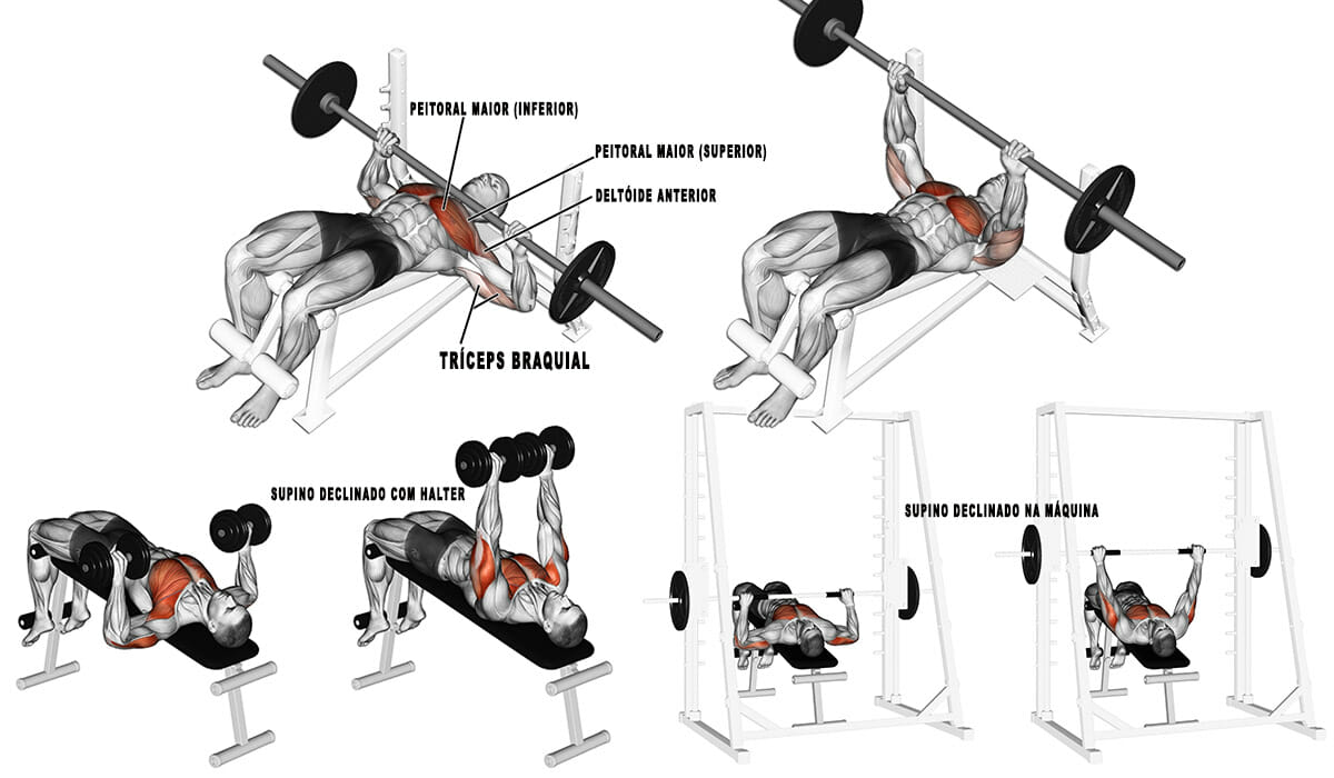 Super Musculo: A Importância do Supino Declinado para Moldar o