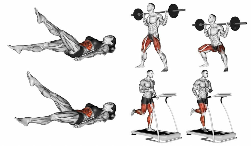 Treino Metabólico: O que é, benefícios e como funciona (ficha montada) treino metabólico