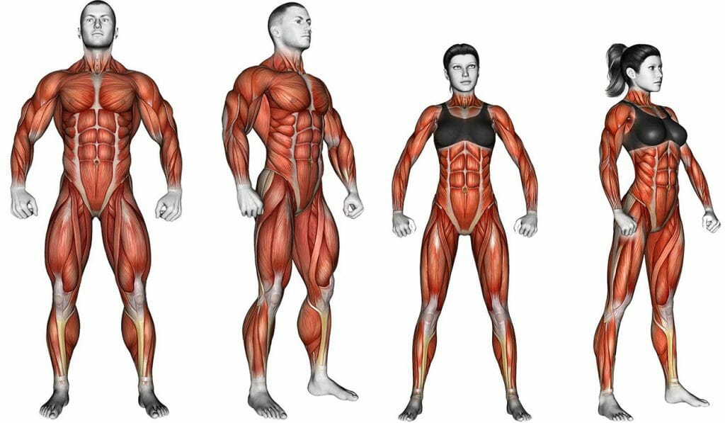 4 Dicas para otimizar seu descanso e ter muito mais resultados na musculação Descanso na musculação para ter muito mais resultados