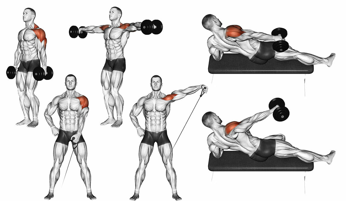 Elevação Lateral Para trabalhar os músculos das costas e ajudar a