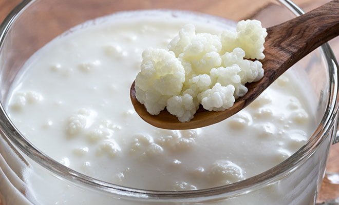 Kefir de leite