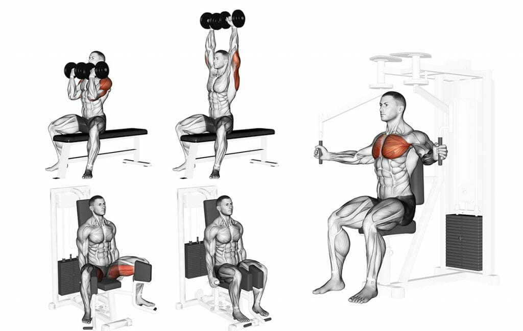 Divisão de treino, qual a melhor para seu caso? Divisão de treino musculação
