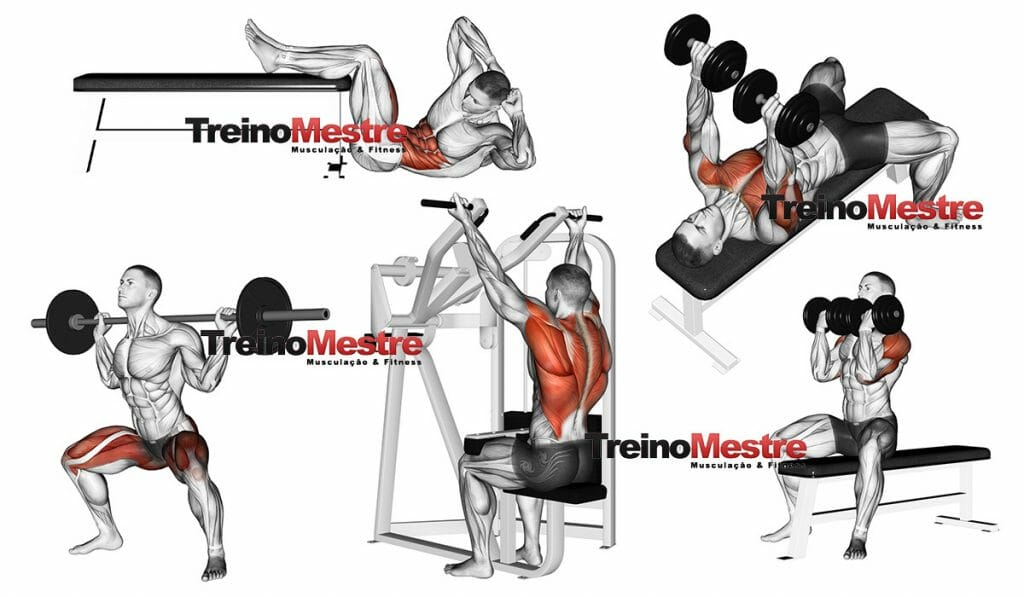 Treino Full body é bom? Veja como fazer (ficha de treino) Divisão treino full body corpo todo iniciante ectomorfos hipertrofia