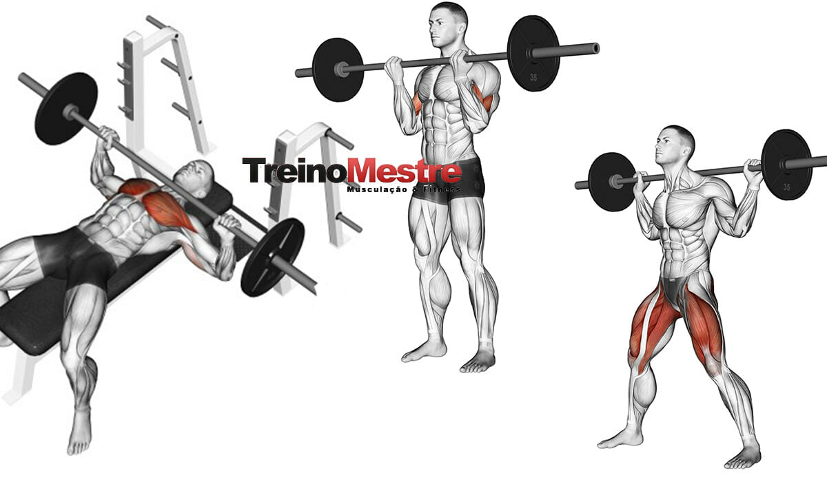 Serie de exercicios para aumento muscular