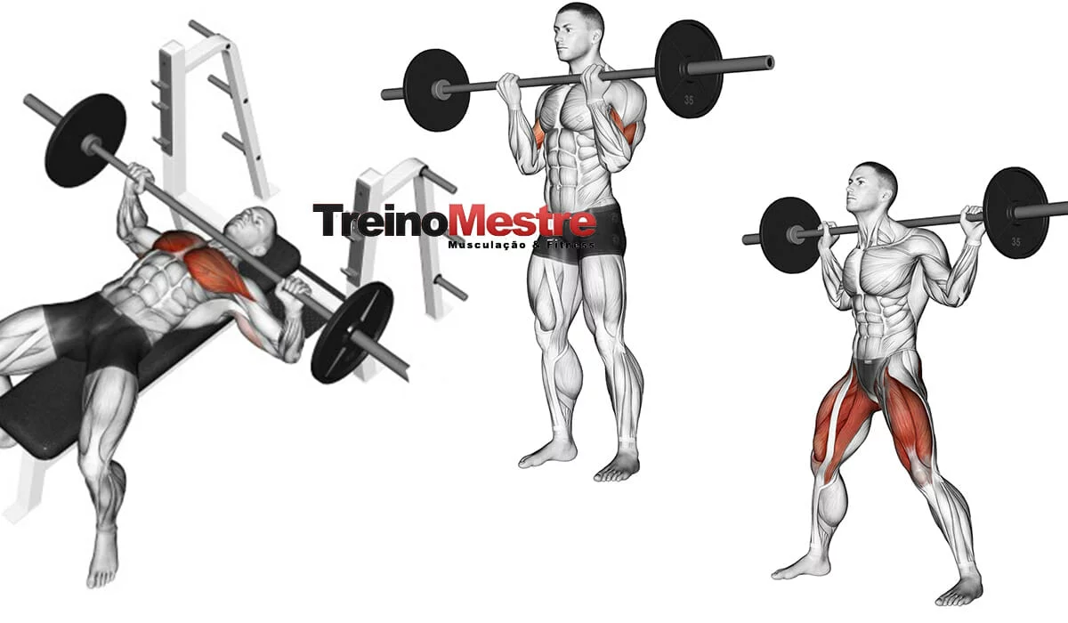 Serie de exercicios para aumento muscular