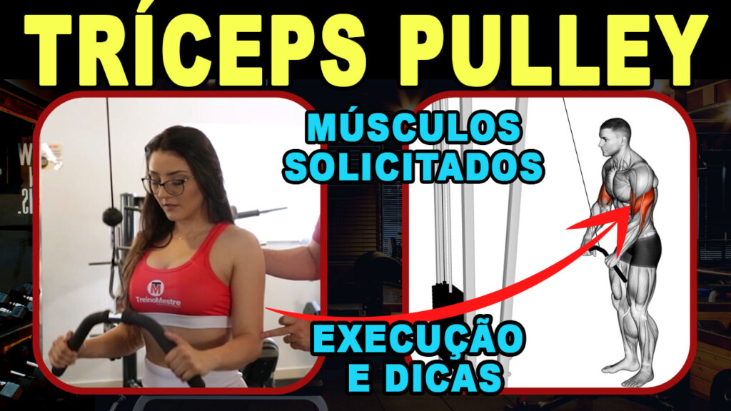 Tríceps pulley (corda ou polia) 8 Variações para potencializar!