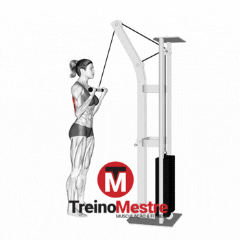 Tríceps pulley invertido
