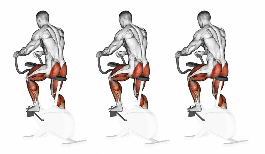 Bicicleta ergométrica Emagrece? Veja como fazer e um exemplo de treino HIIT
