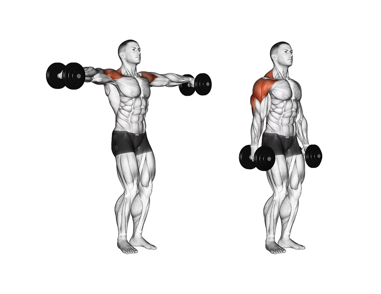6 formas de ter um treino curto e eficiente para bíceps e tríceps