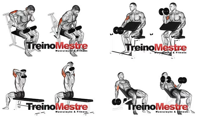6 formas de ter um treino curto e eficiente para bíceps e tríceps - Treino  Mestre