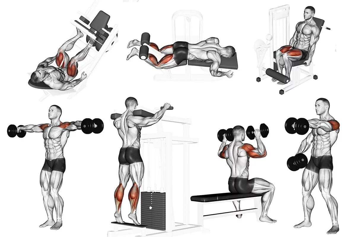 Exercicios para biceps, Exercícios de musculação, Treino costas e