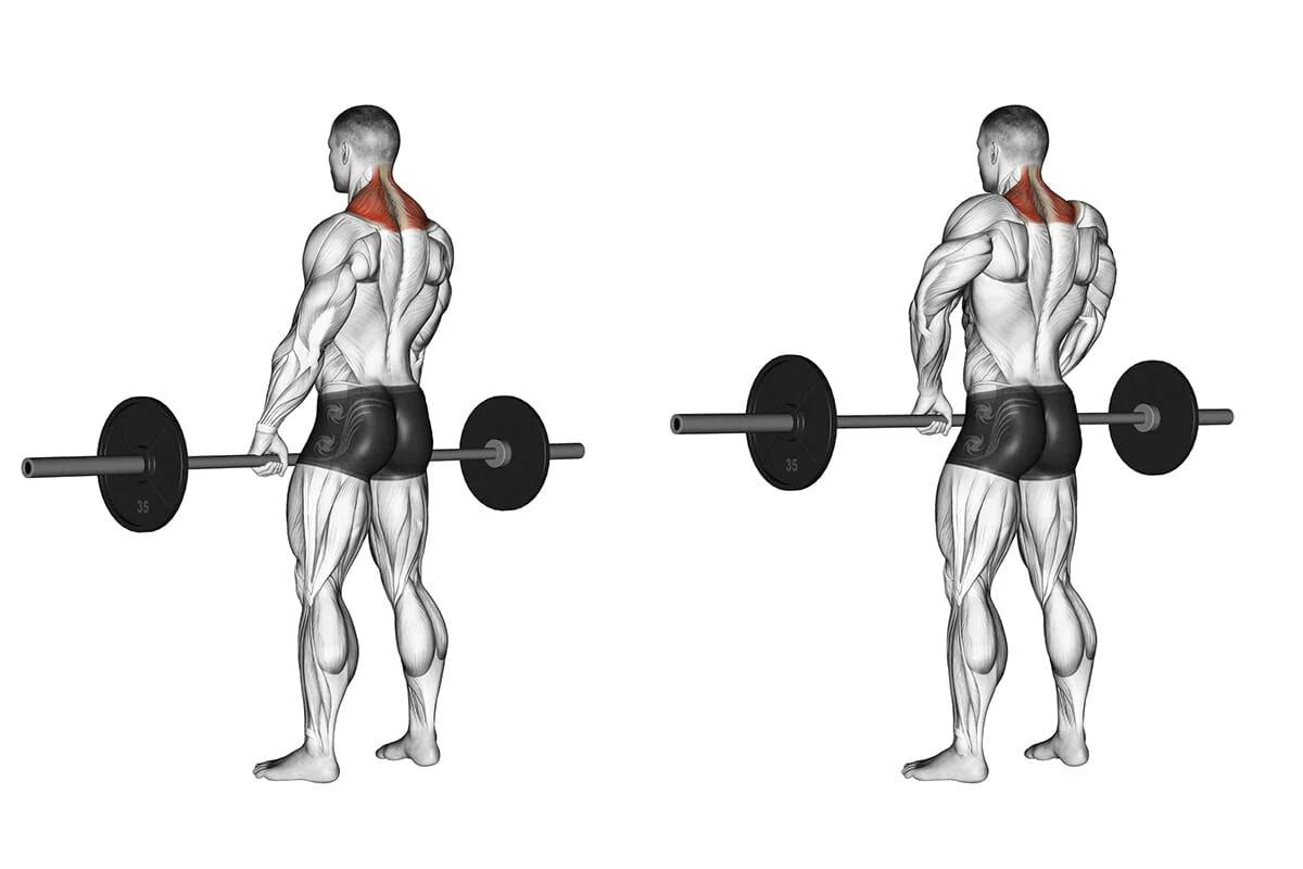 Elevação Lateral Para trabalhar os músculos das costas e ajudar a