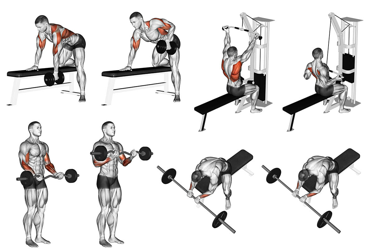 Treino de costas, bíceps e antebraços