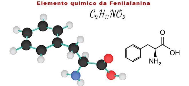 fenilalanina o que e