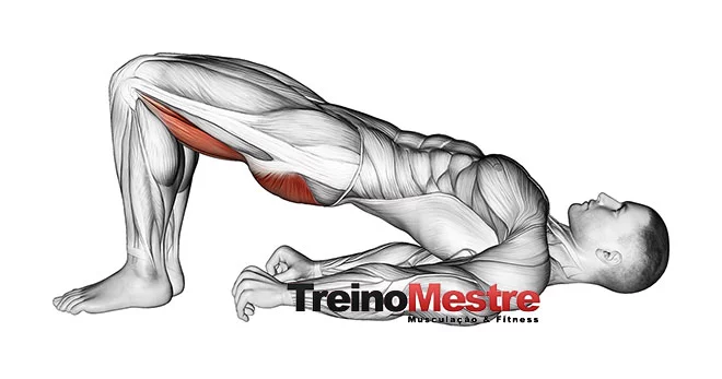 Academia BEM ESTAR - Treino glúteo avançado: elevação pélvica com barra  Coloque a parte superior das costas contra uma caixa ou banco com os  joelhos dobrados e os pés no chão. Coloque