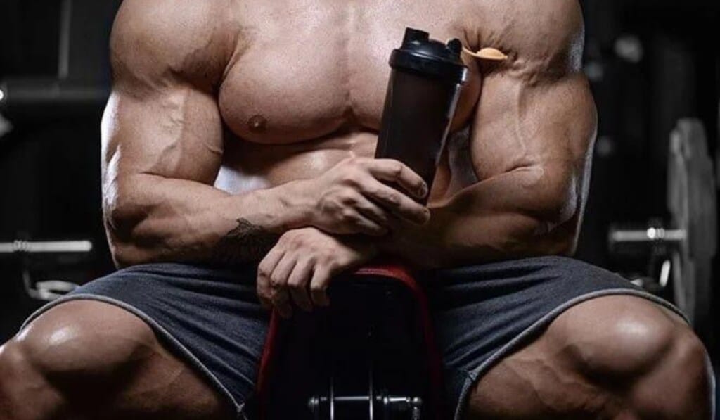 melhores suplementos para definição muscular