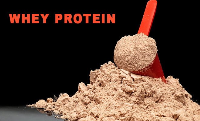whey protein para definição muscular