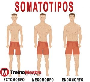 Endomorfo: O Que é, Como Saber, Dicas E Ficha De Treino!