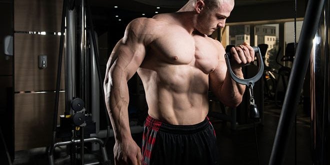 Benefícios da musculação