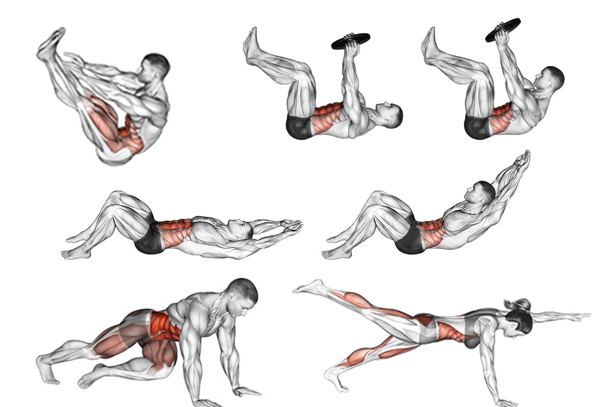 Academia Fitness.com - Dica 4 * Qual músculo trabalha o avanço? Além de  fortalecer os músculos da perna e do glúteos, o exercício também ativa a  musculatura do core, melhora a coordenação