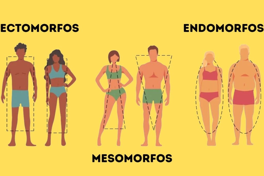 Endomorfo: o que é, como saber, dicas e ficha de treino! endomorfos