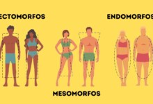 endomorfos