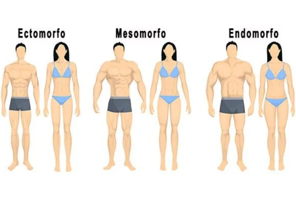 Mesomorfo