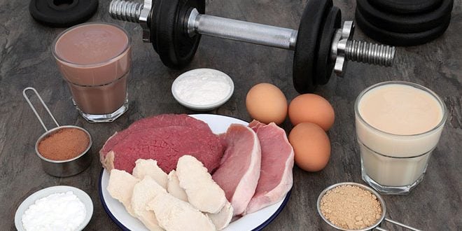 Mecanismos de absorção das proteínas