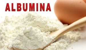 Albumina: Para que serve, Benefícios e qual a Melhor Marca