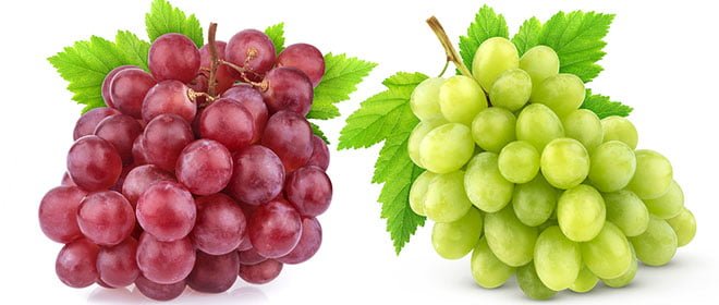 Uvas