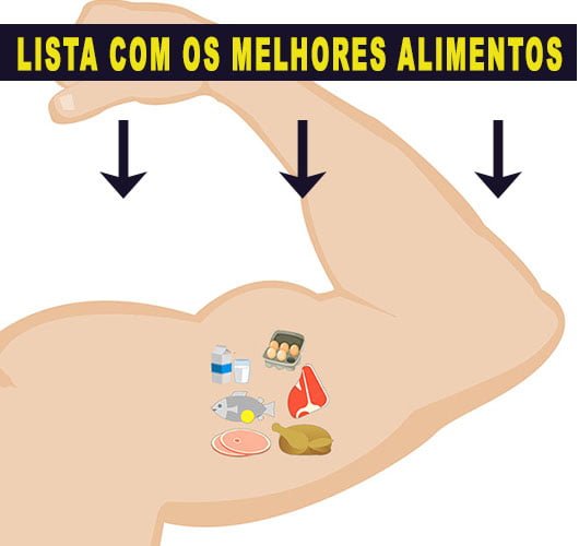 melhores alimentos ricos em proteína e creatina