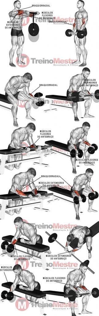 Antebraço: Músculos, 7 exercícios e dicas para antebraços mais fortes antebraço músculos exercícios