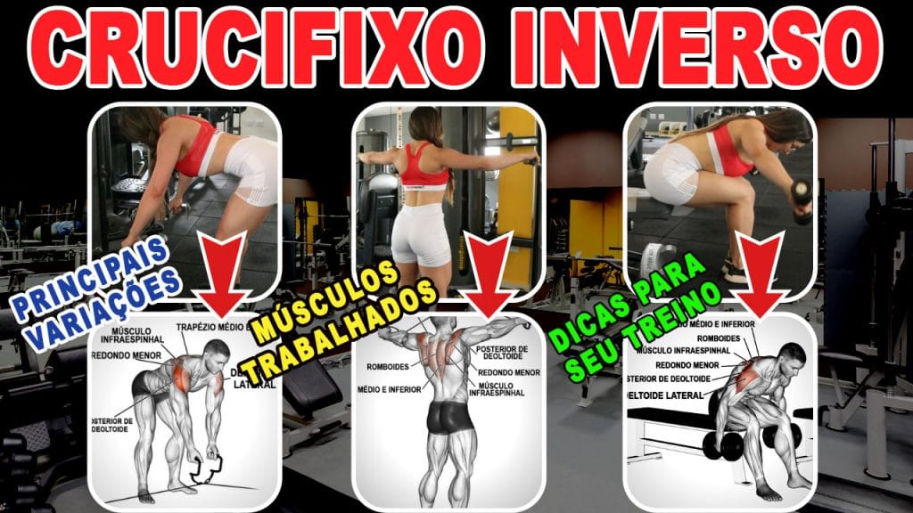 crucifixo inverso invertido polia halteres cruzado cabo crossover