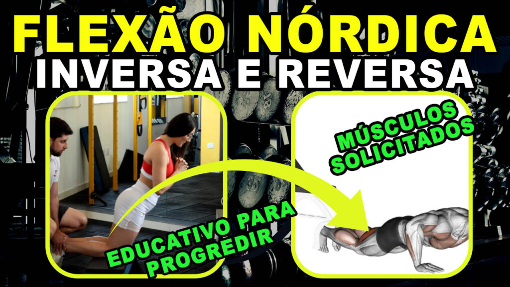 Flexão Nórdica (inversa e reversa): Para que serve? Como usar em meu treino? flexão nórdica inversa e reversa