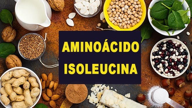 Isoleucina aminoácido fontes