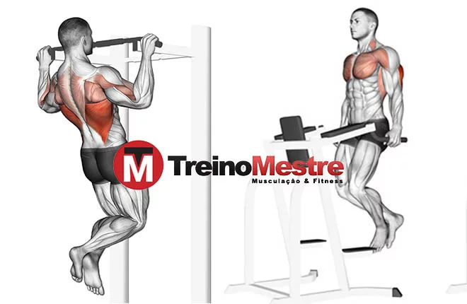 Melhorem a qualidade de treino nesses musculos caso queria