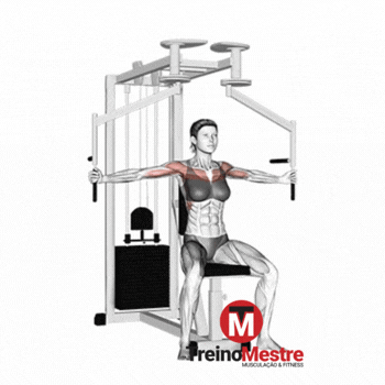 peck deck voador maquina