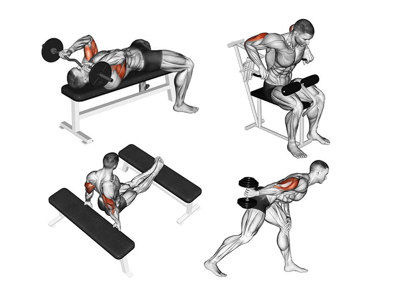 exercícios para tríceps