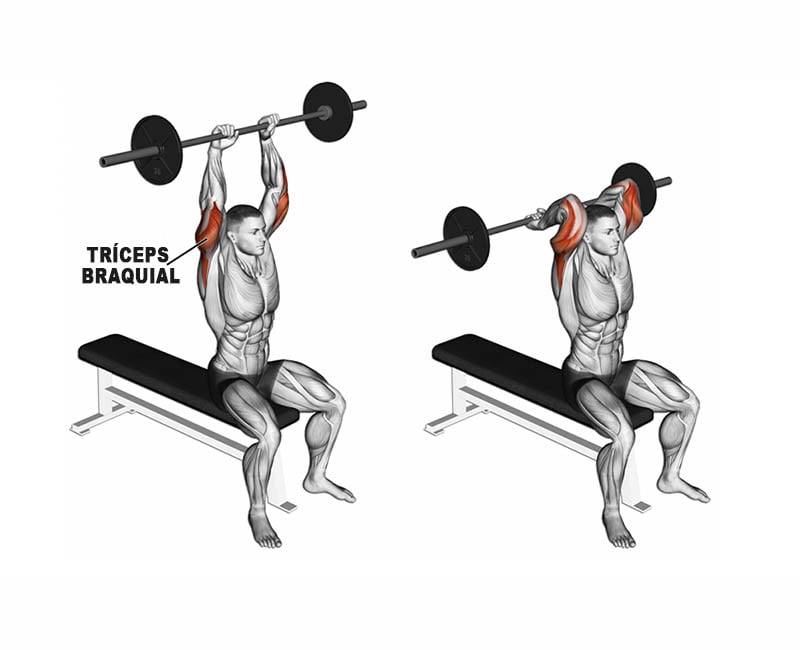 Tríceps francês: Execução, variações e dicas para mais resultados