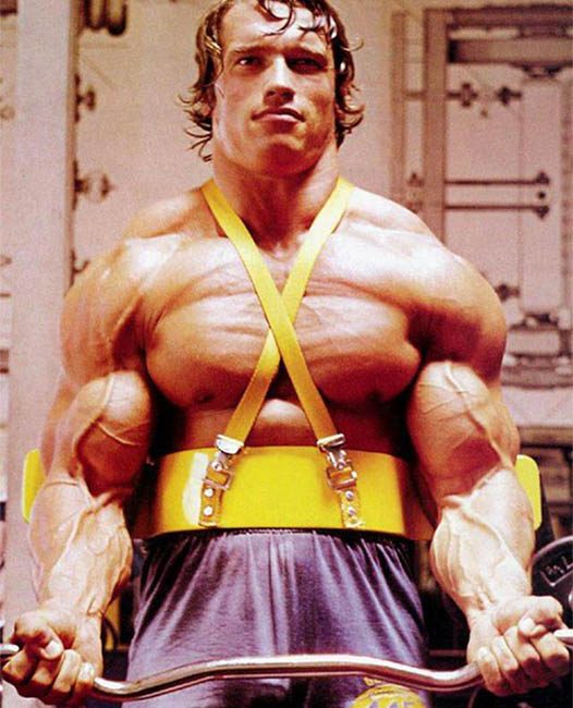 Dicas de Arnold Schwarzenegger Para Ganhar Massa Muscular