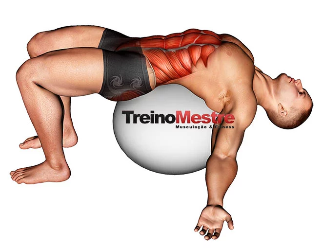 5 exercícios com bola para treinar o corpo todo