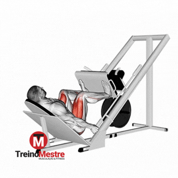 Leg press 45°