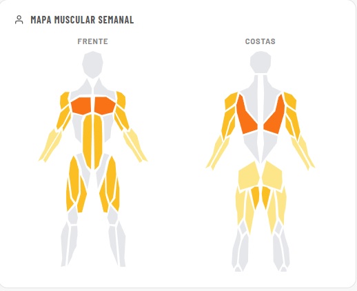mapa muscular semanal volume de treino