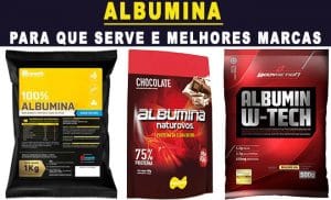 Albumina: Para que serve, Benefícios e qual a Melhor Marca