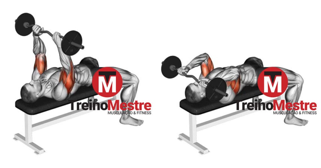 Tríceps Testa: Execução, músculos e como ter resultados triceps testa