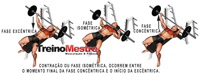 Fase excêntrica e Fase Concêntrica contração muscular