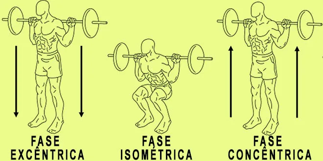 fases concêntrica, excêntrica e isométrica no agachamento