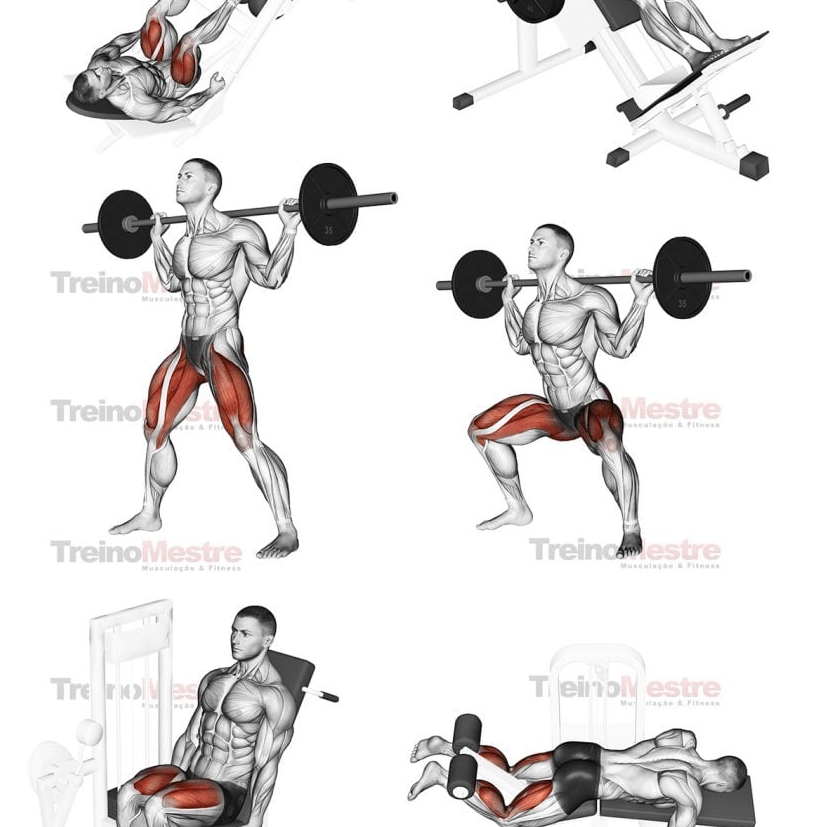 Exercícios para pernas • Hipertrofia