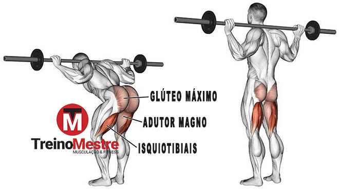 Efeito do alongamento de cadeia posterior em praticantes de musculação