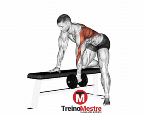 remada serrote com halter unilateral